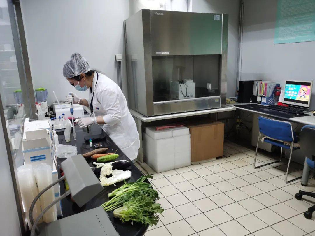 青山湖食品检测实验室装修方案